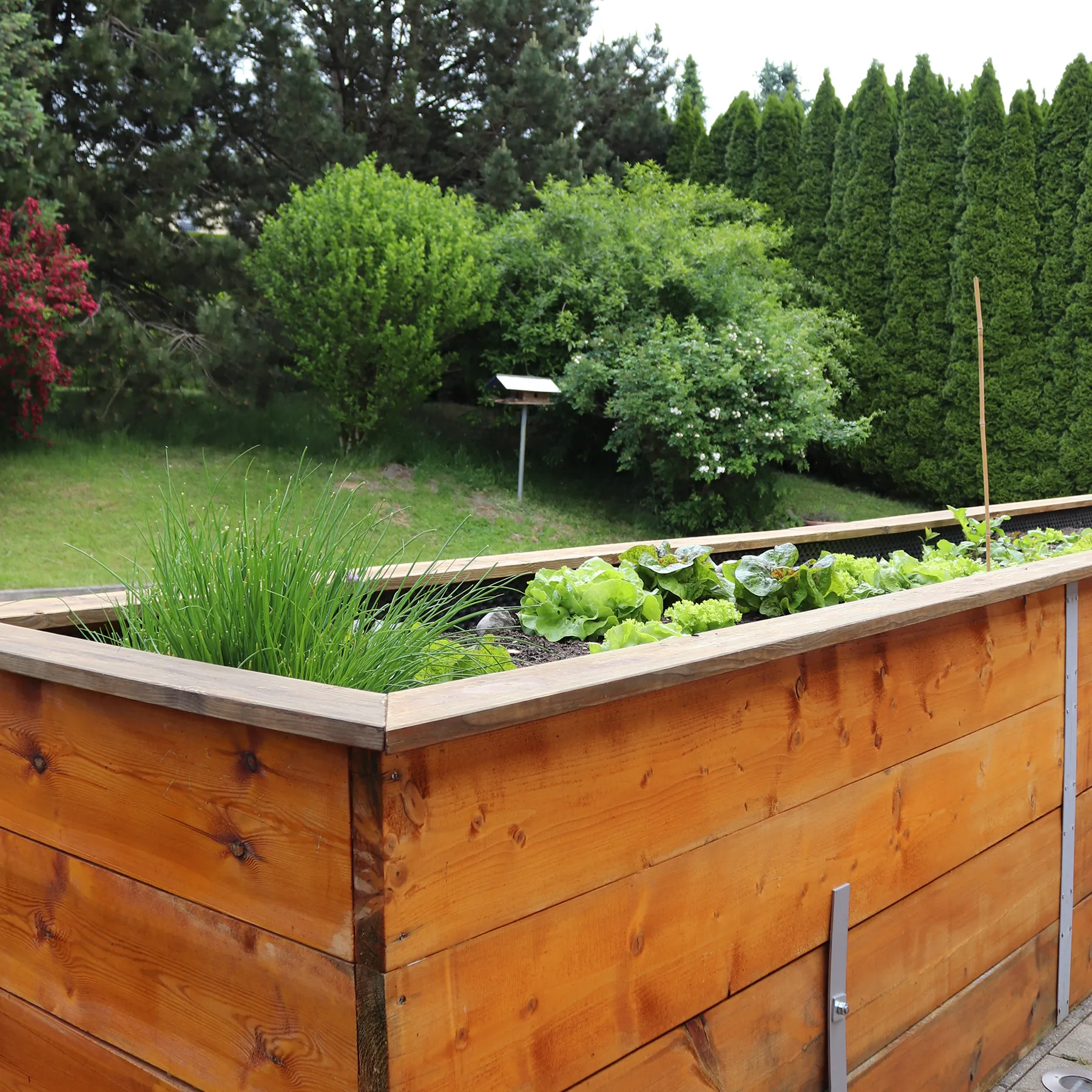 Hochbett im Garten