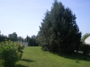 imgp0239
